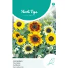 Zonnebloem Mix